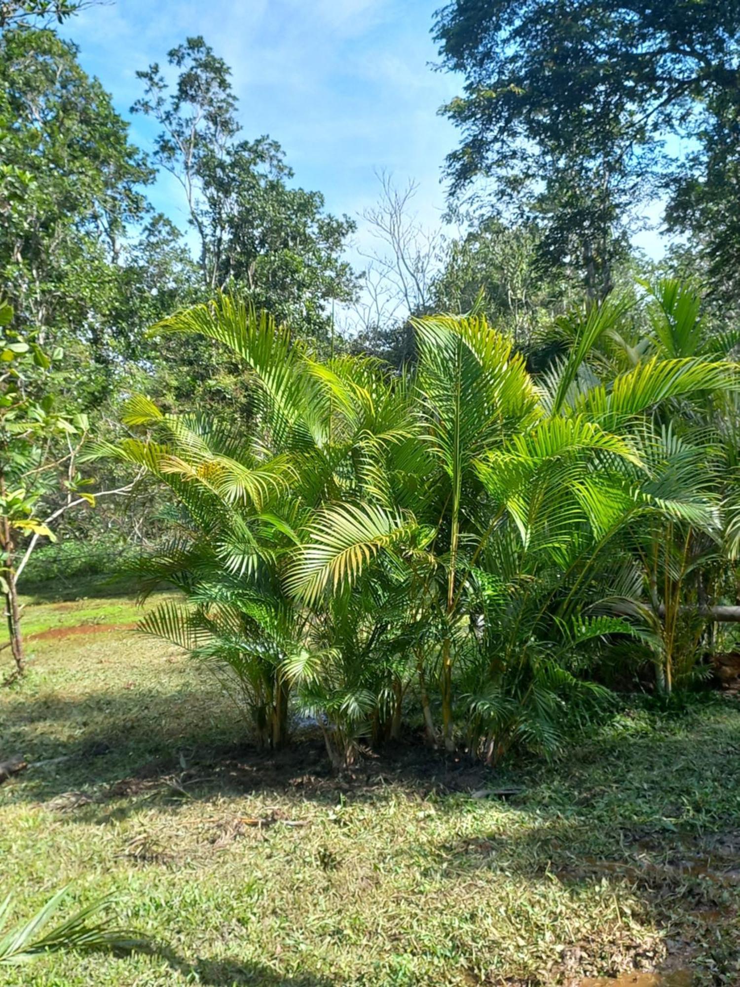 Recanto Dos Lobosco Villa Парати Екстериор снимка